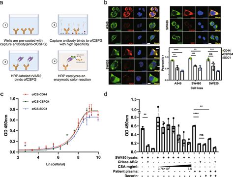 ELISA Sensitivity and Specificity 